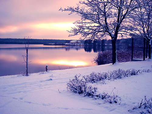 Winteridylle