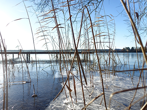 winterlicher Blick zum Steg