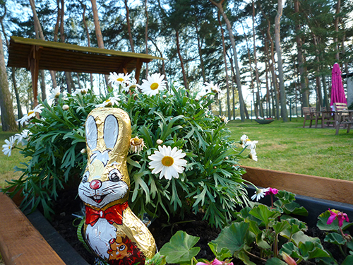 Frohe Ostern